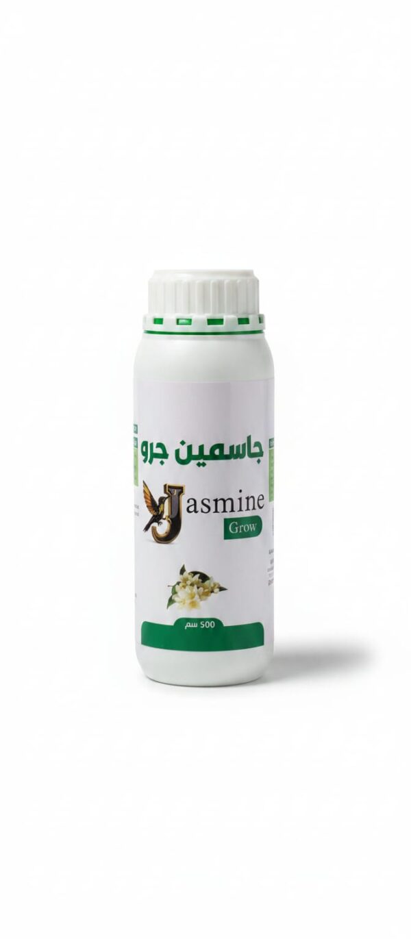 جاسمين جرو